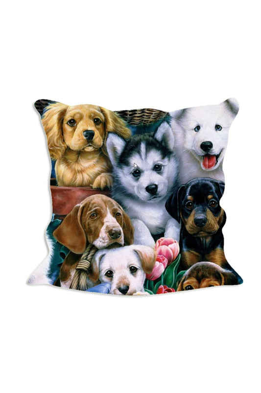 Can Dostlarımız Köpekler No: 3