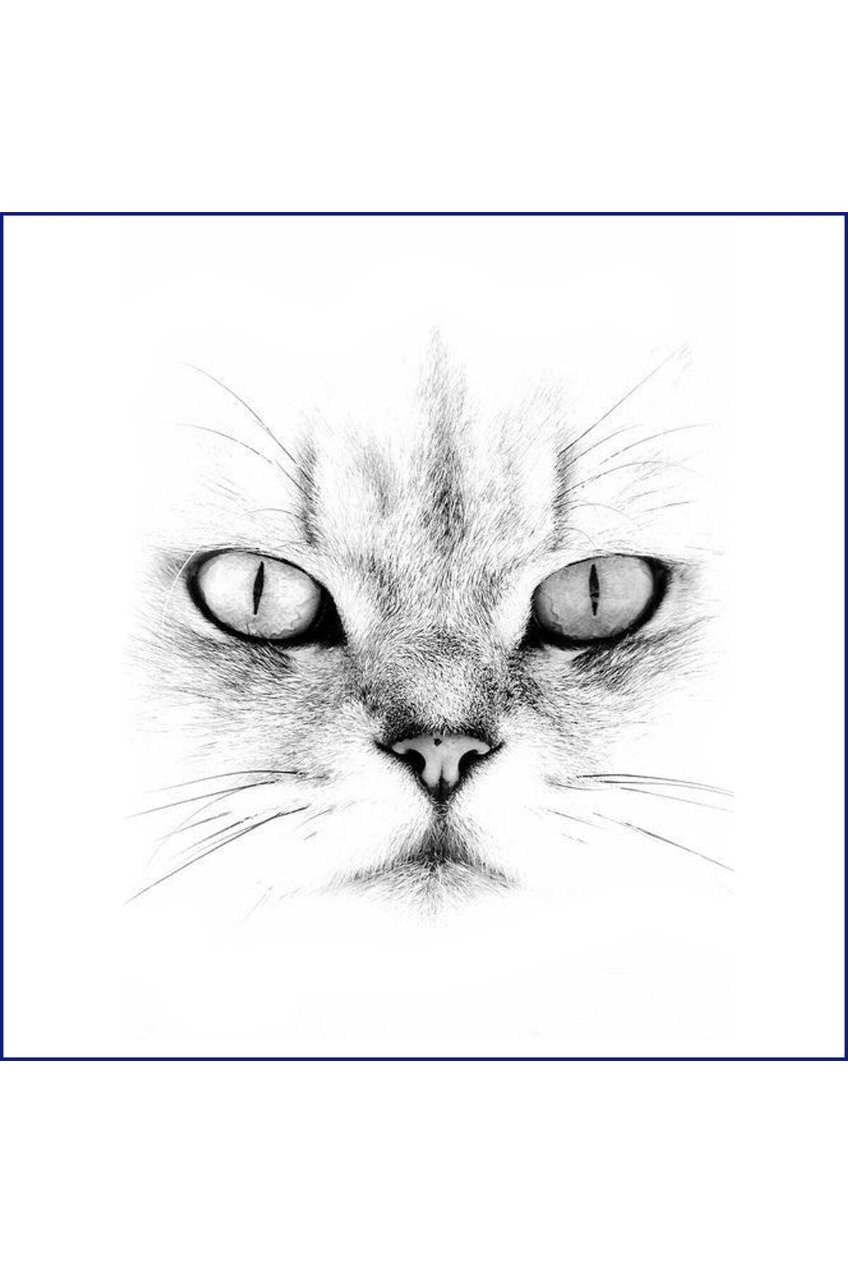 Beyaz Kedi Yastık & Kırlent & Kırlent Kılıfı Design 1