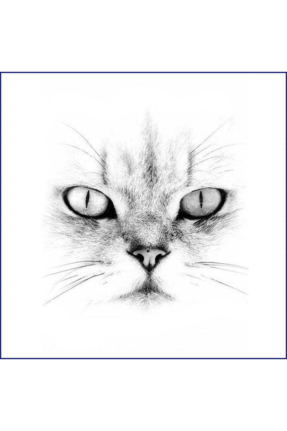 Beyaz Kedi Yastık & Kırlent & Kırlent Kılıfı Design 1