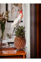 Parrot Figurine on Decorative Pineapple