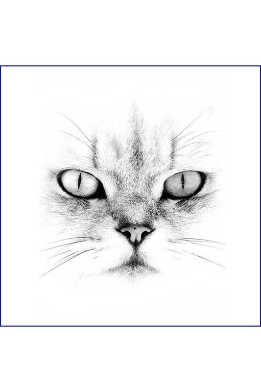 Beyaz Kedi Yastık & Kırlent & Kırlent Kılıfı Design 1
