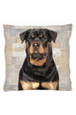 Evcil Hayvanlarımız Serisi Kırlent & Yastık & Kırlent Kılıfı - Köpekler - Rottweiler